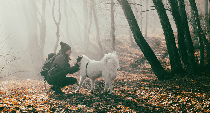 Einsatzgebiet > Unterwegs mit Hund