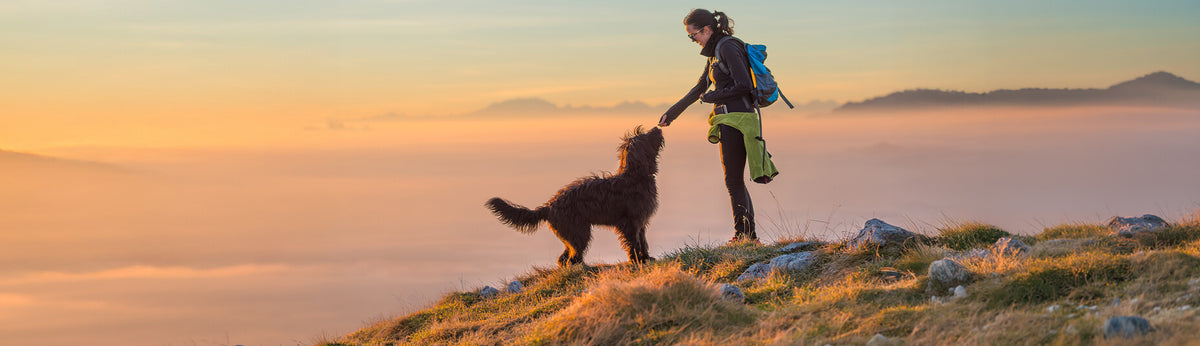 Frau in Wanderschuhen mit Hund
