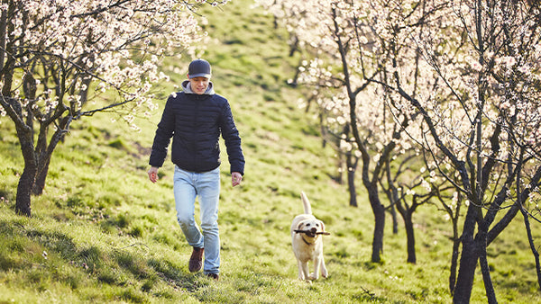 Frühling