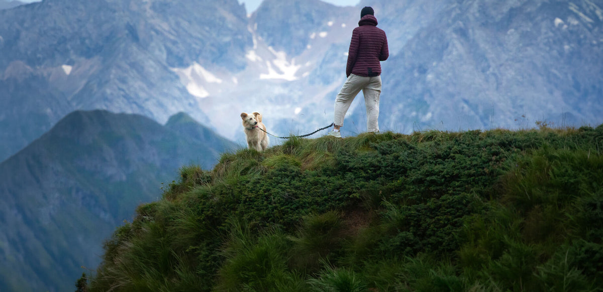 Frau in Wanderschuhen mit Hund beim Gassi gehen